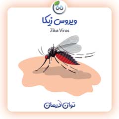 ویروس زیکا